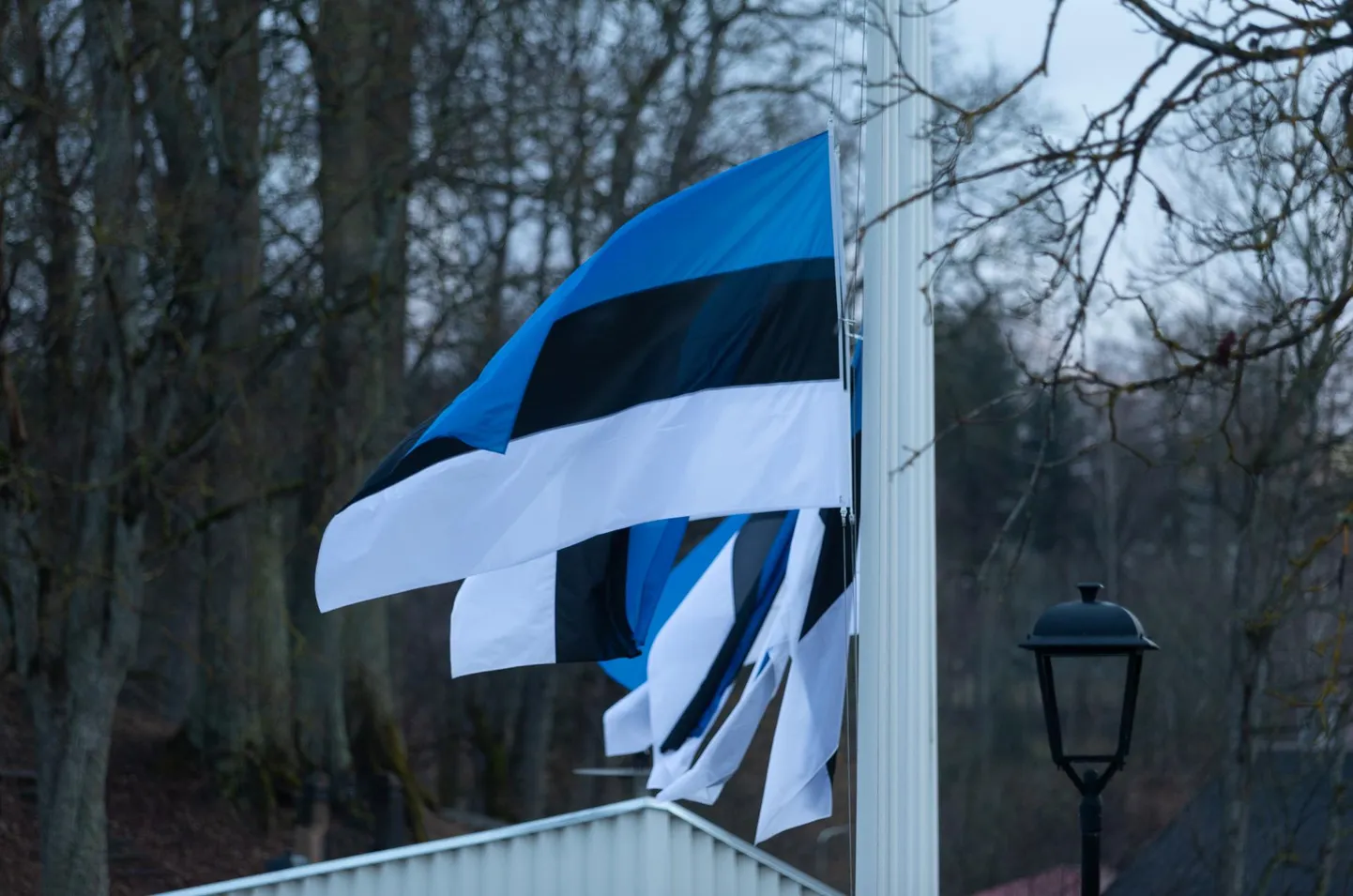 Valitsus kehtestas president Arnold Rüütli matusepäeva, laupäeva, 11. jaanuari üleriigiliseks leinapäevaks ja sel puhul heisatakse Eesti lipud leinalipuna.