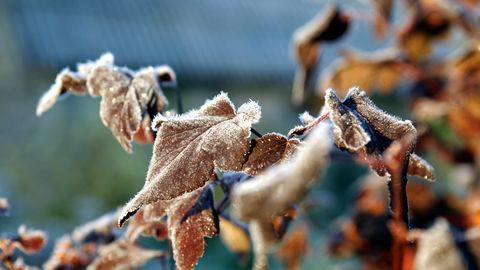 Синоптики дали прогноз на ближайшие дни
