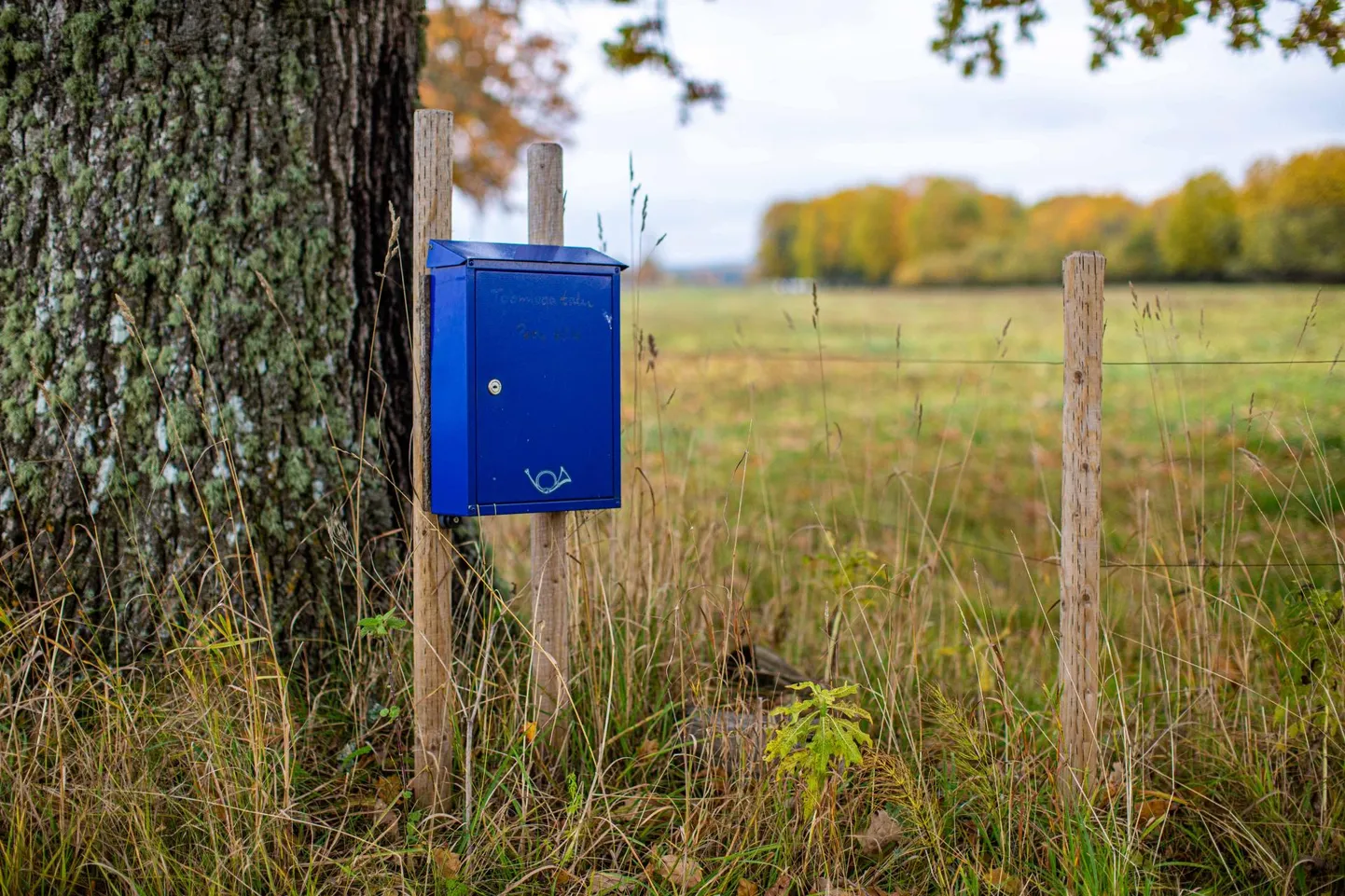 Eesti Meediaettevõtete Liidu poolt on laual kolm konkreetset ettepanekut kojukande tuleviku suhtes, võimalik, et neid lisandub veelgi.