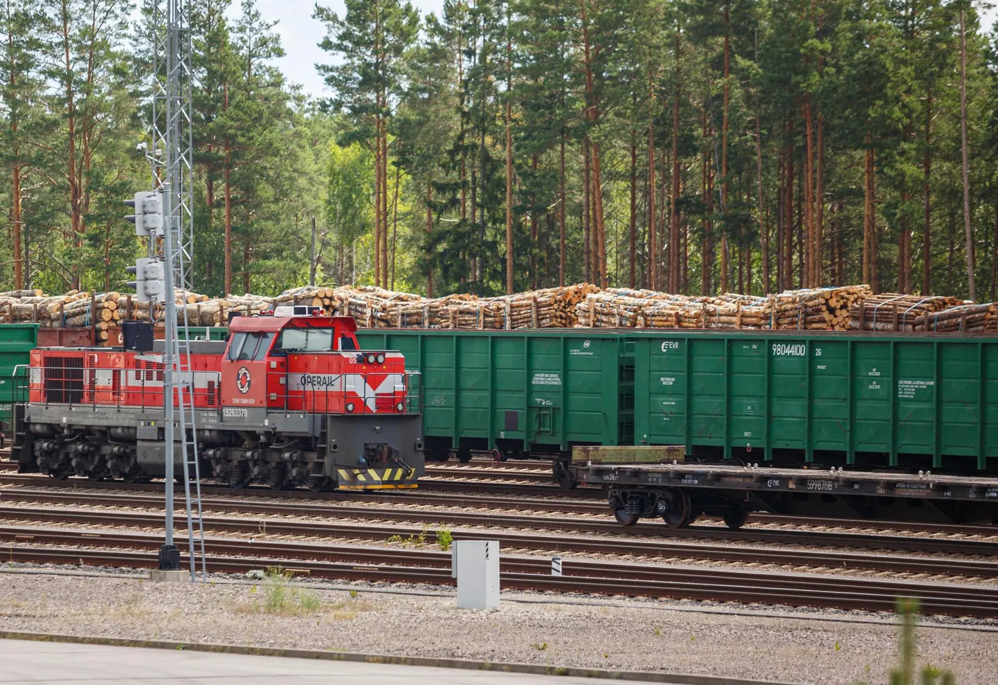 Ka Koidula piiripunktist Võrumaal liigub ronge läbi varasemast vähem.