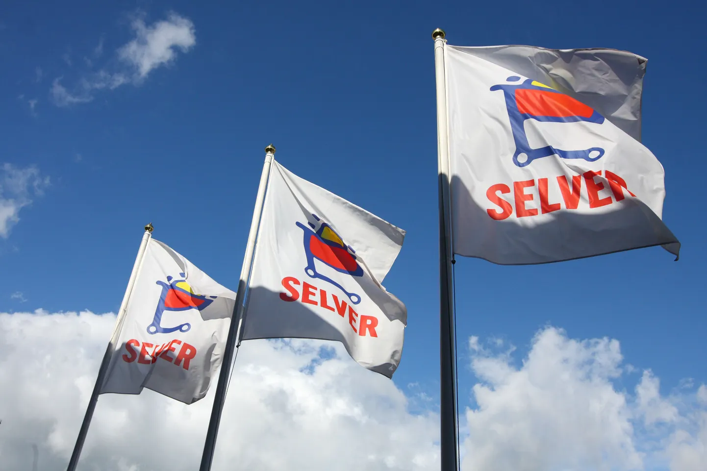 Selveri lipud.