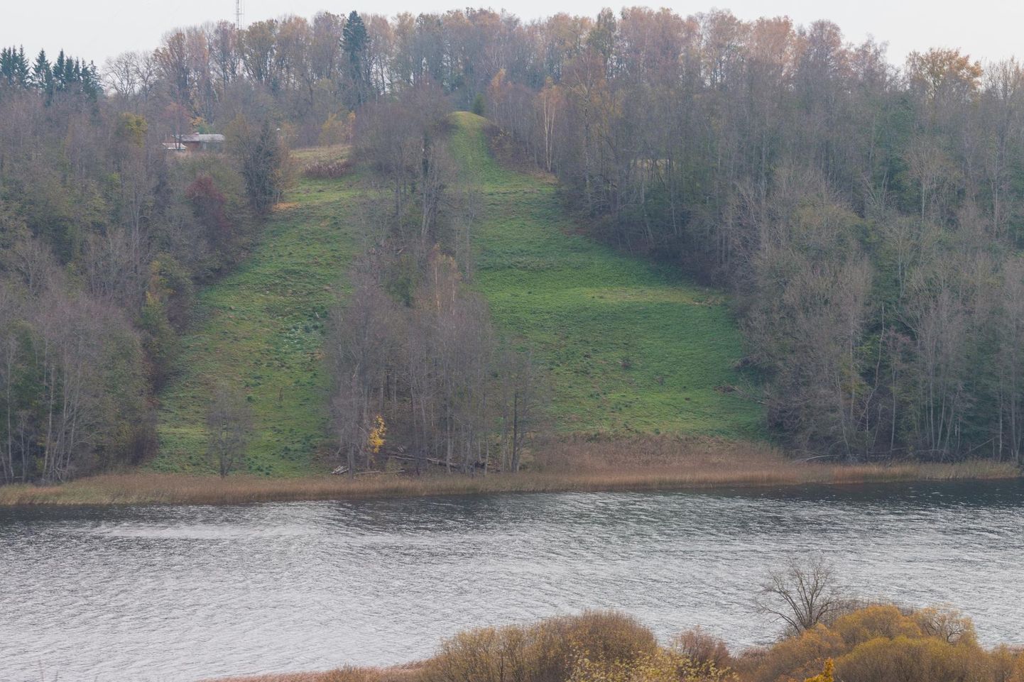 Viljandimaal arvati kaitse alt arvati välja Viljandi järve kaldal olev Närska botaaniline mikrokaitseala. Samas jäävad seal kehtima isendikaitse regulatsioonid.