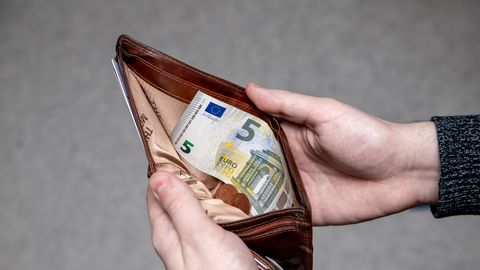 PALGAKÄÄRID ⟩ Lõhe madalate ja kõrgete palkade vahel kasvab