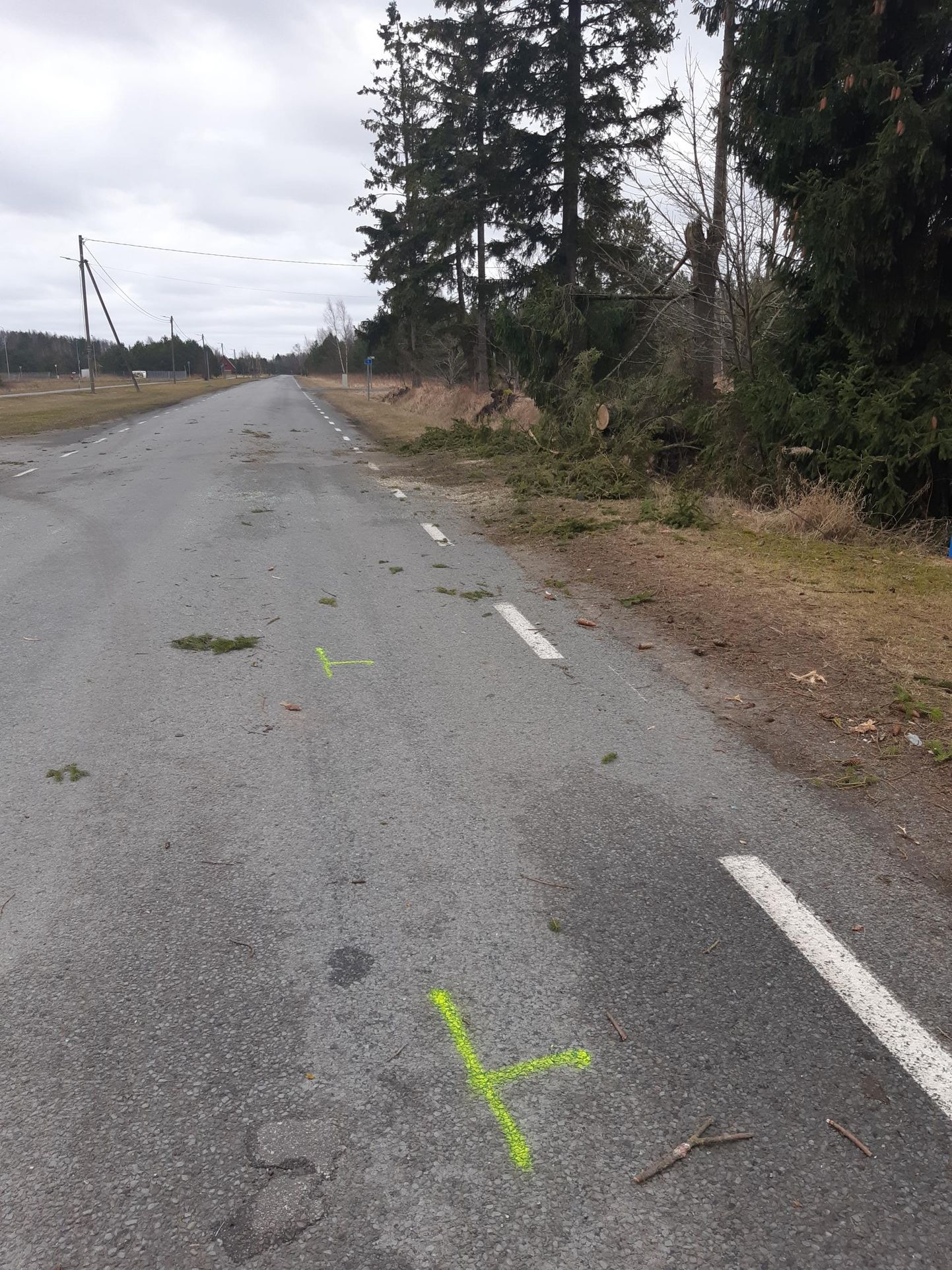 Uulu külas Soometsa teel põhjustas teele langenud puu liiklusõnnetuse. Pildi tegemise ajaks olid päästjad puu teelt juba eemaldanud.