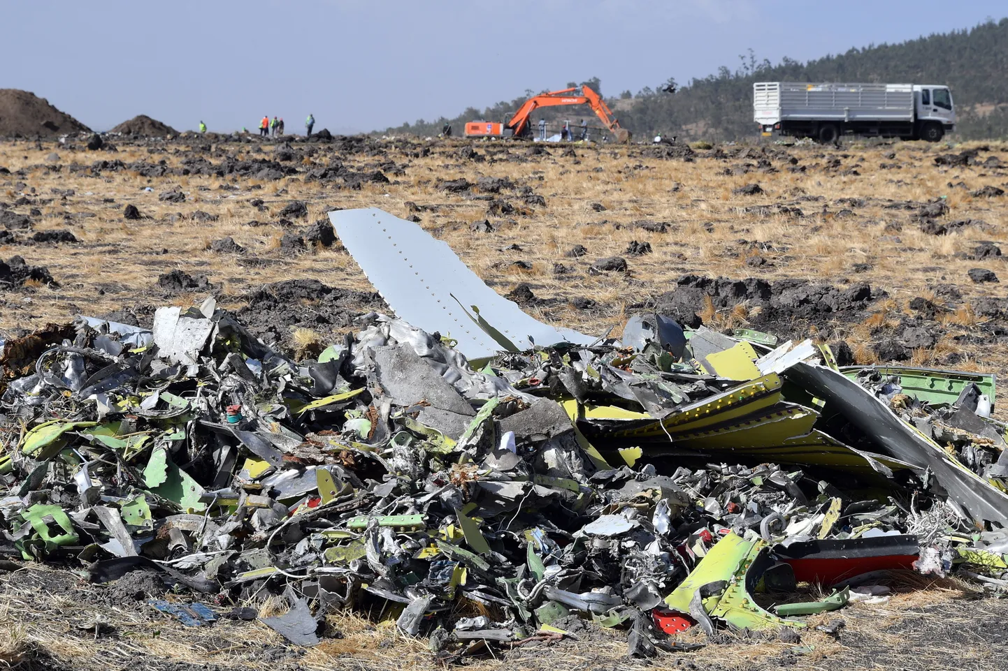 Пилот потерпевшего крушение «Боинга» авиакомпании Ethiopian Airlines сообщил о проблемах в управлении самолетом и хотел вернуться в аэропорт Аддис-Абебы.
