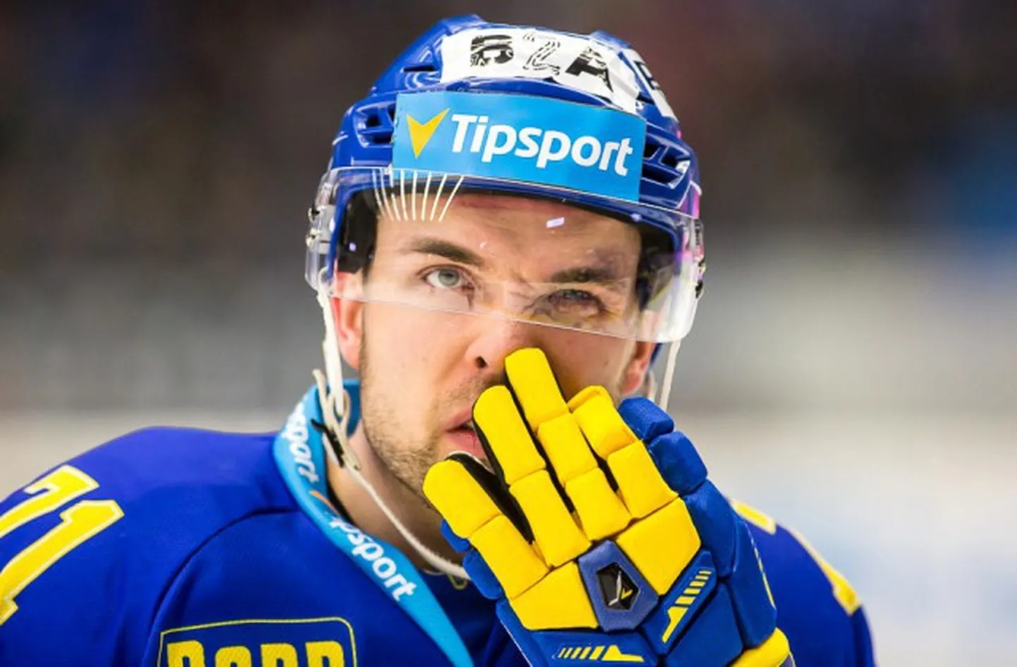 Raksta foto