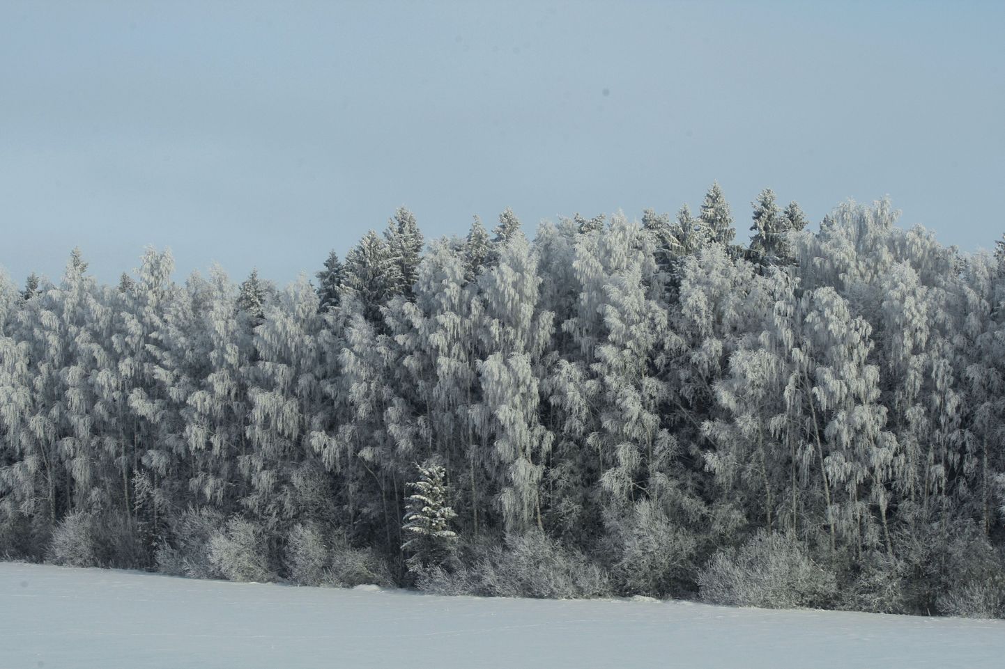 Pärnumaal langes õhutemperatuur alla 30 külmakraadi.