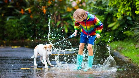 Foto ⟩ Darba nedēļa sāksies ar mēreni siltu un lietainu laiku