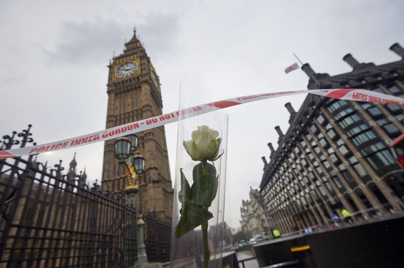 Rünnakuohvrite mälestuseks toodud valge roos Briti parlamendi kellatorni juures.