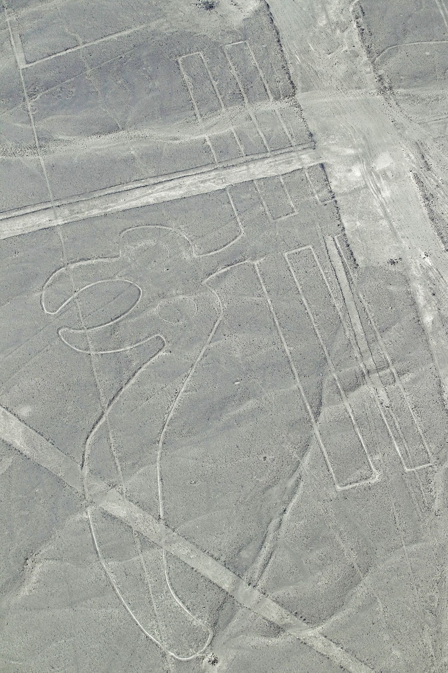 Üks Peruu Nazca geoglüüfidest