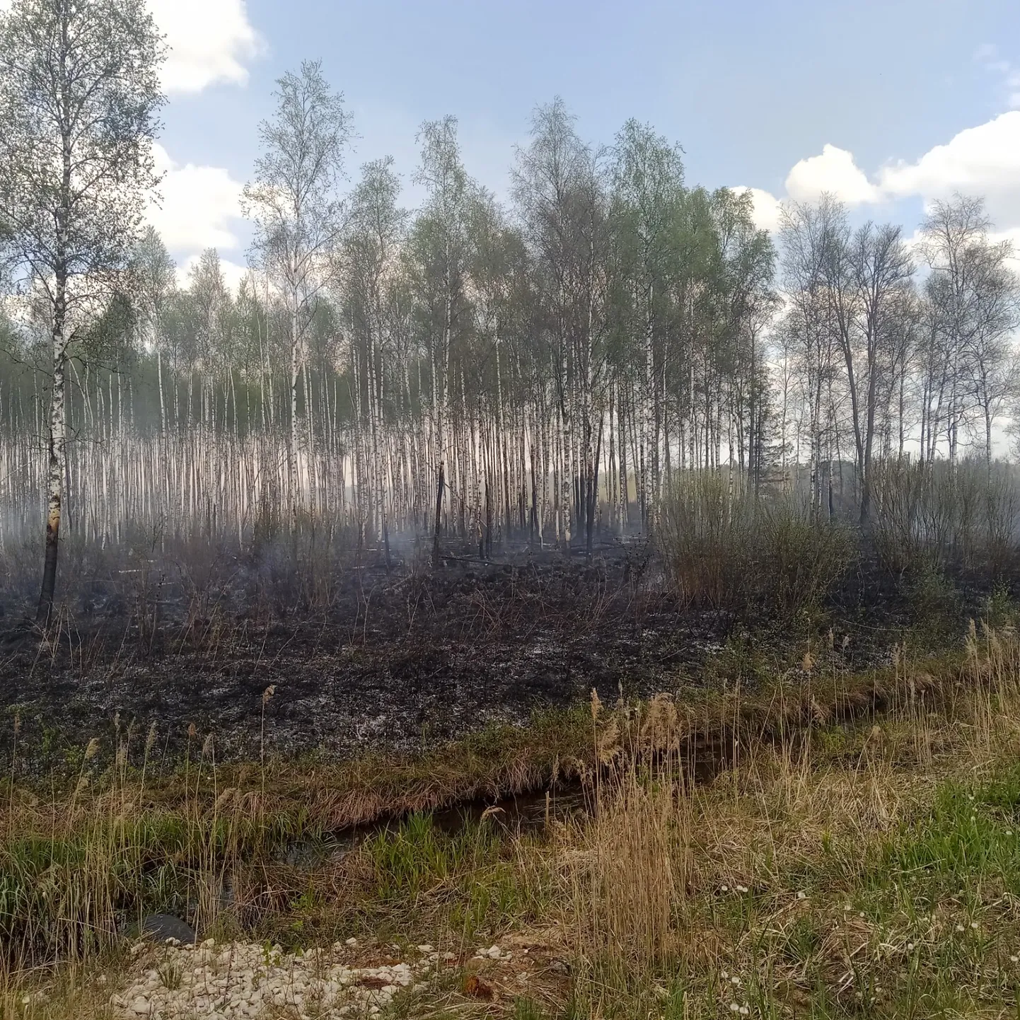Tulekahju Nursipalu harjutusväljal.