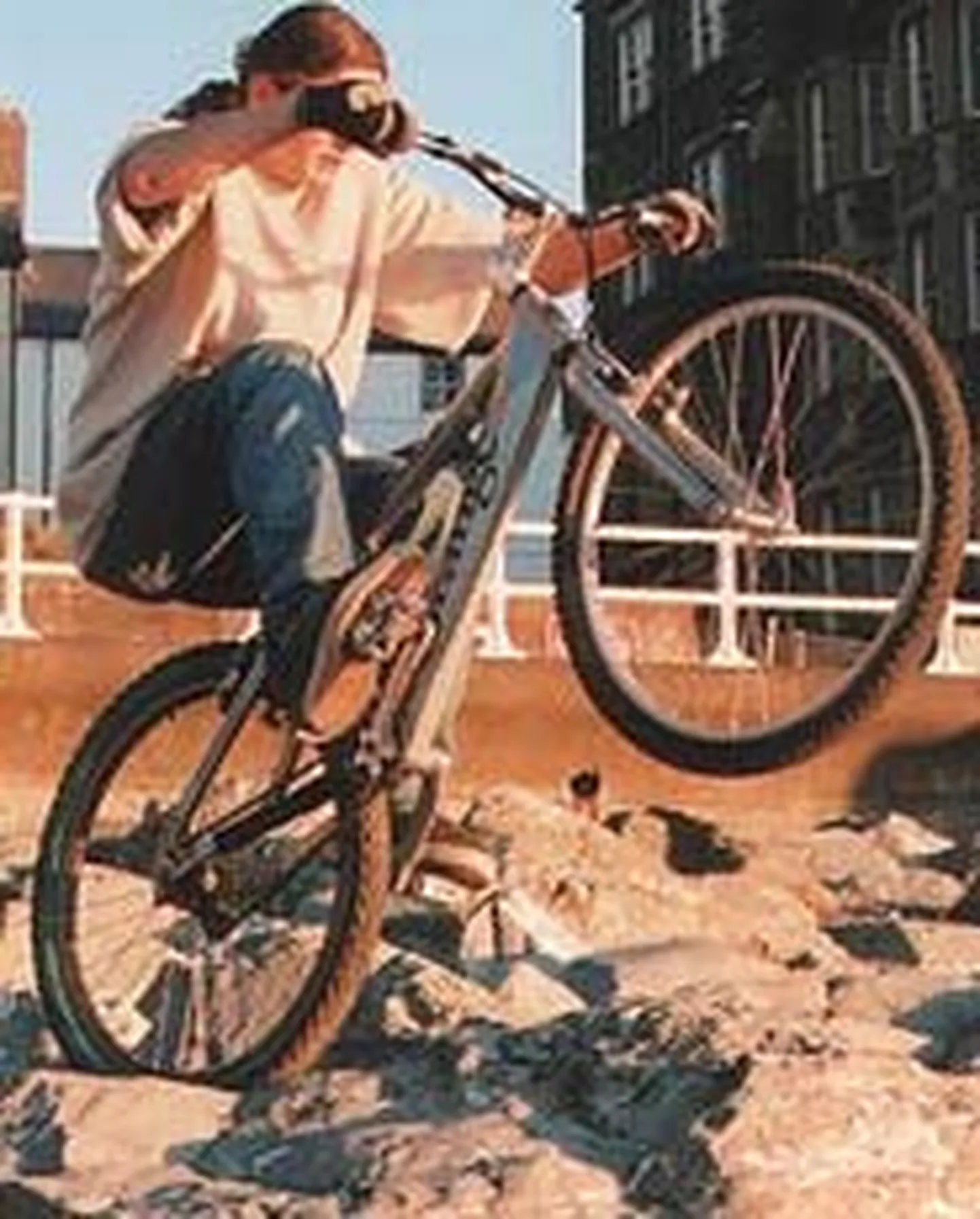 Raksta foto