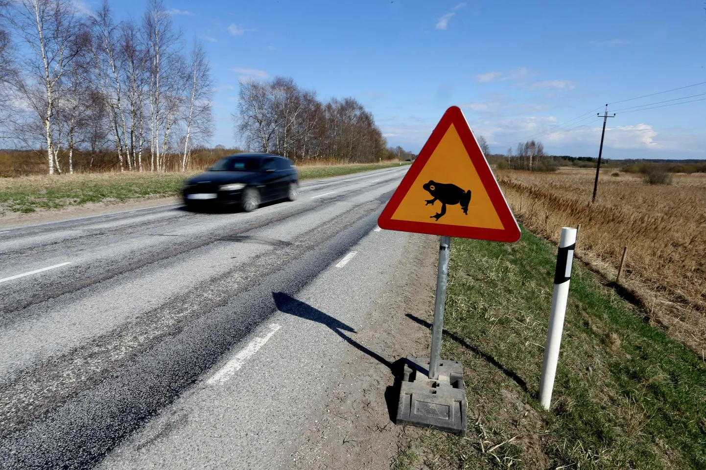 Märk «Konnad teel» Aardla poldri veehoidla juures.