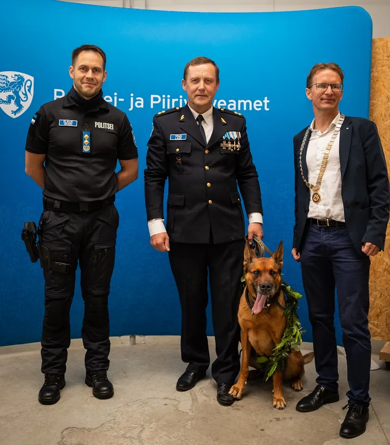 Niki sai tubli töö eest tänutäheks suure kondi.