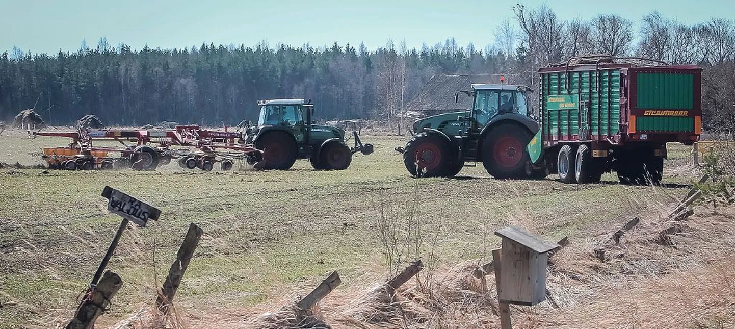 Tahkuranna ja Surju valla piiril Laadi küla all põllul kaarutati vaalu üles ja kogumiskäru neelas suutäied endasse. Silotegu Weissi moodi ei olnud nali, vaid esimese aasta põldheinapõllult selle võtmine, mida sügisvihmad teha ei lubanud.