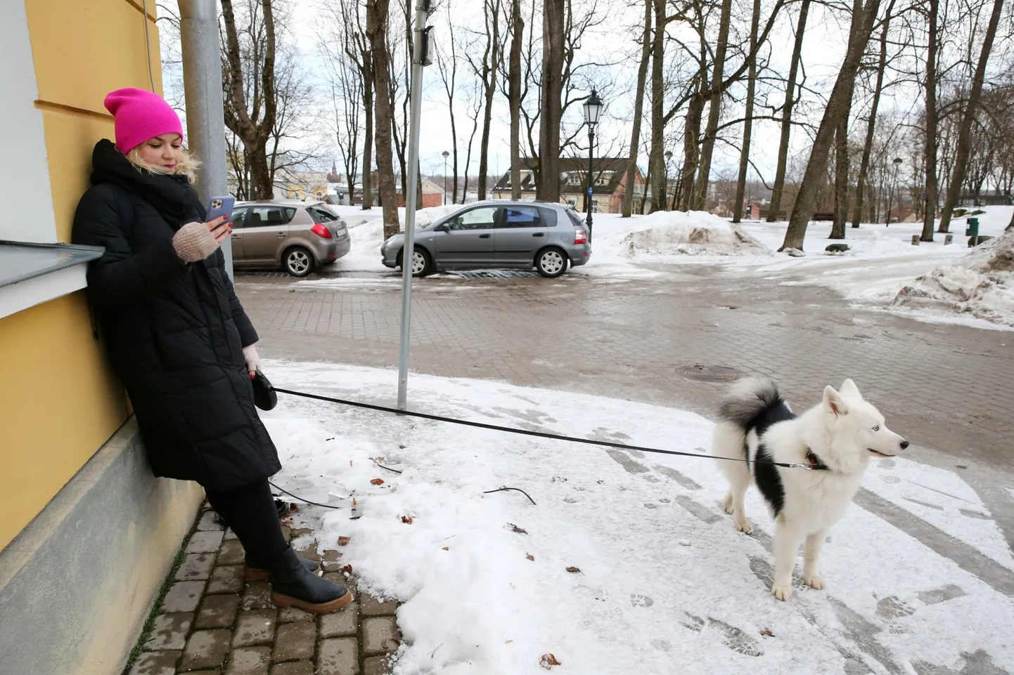 Tartu ülikooli meediauurija Maia Klaassen juhib tähelepanu tõsiasjale, et suuremal osal meist on nutitelefon pidevalt, igasugustes elusituatsioonides käes, aga sealt tulevasse infosse vaevutakse süvenema harva.