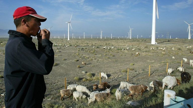 Китай давно сделал ставку на возобновляемую энергетику