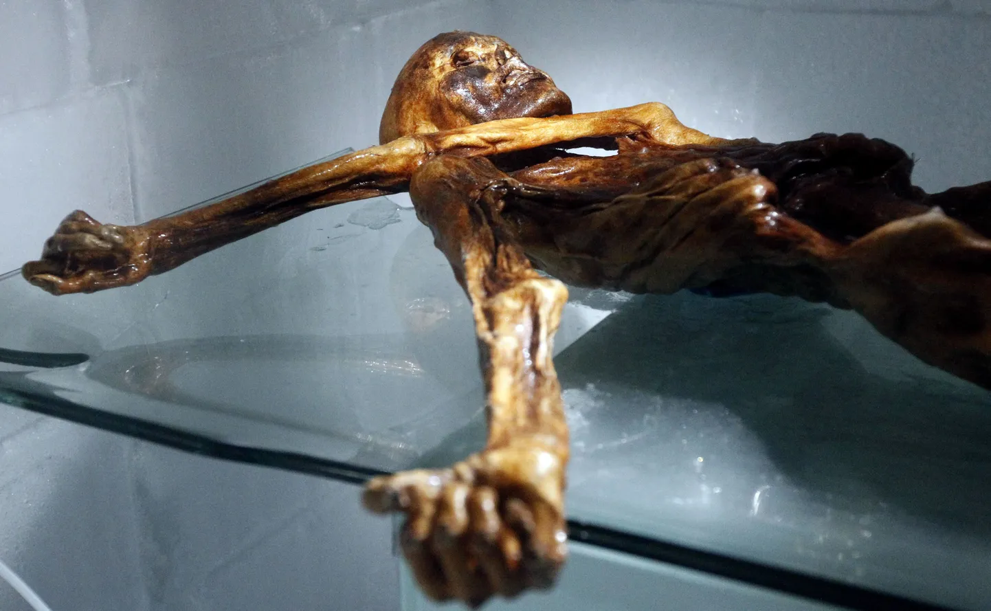 Jäämees Ötzi