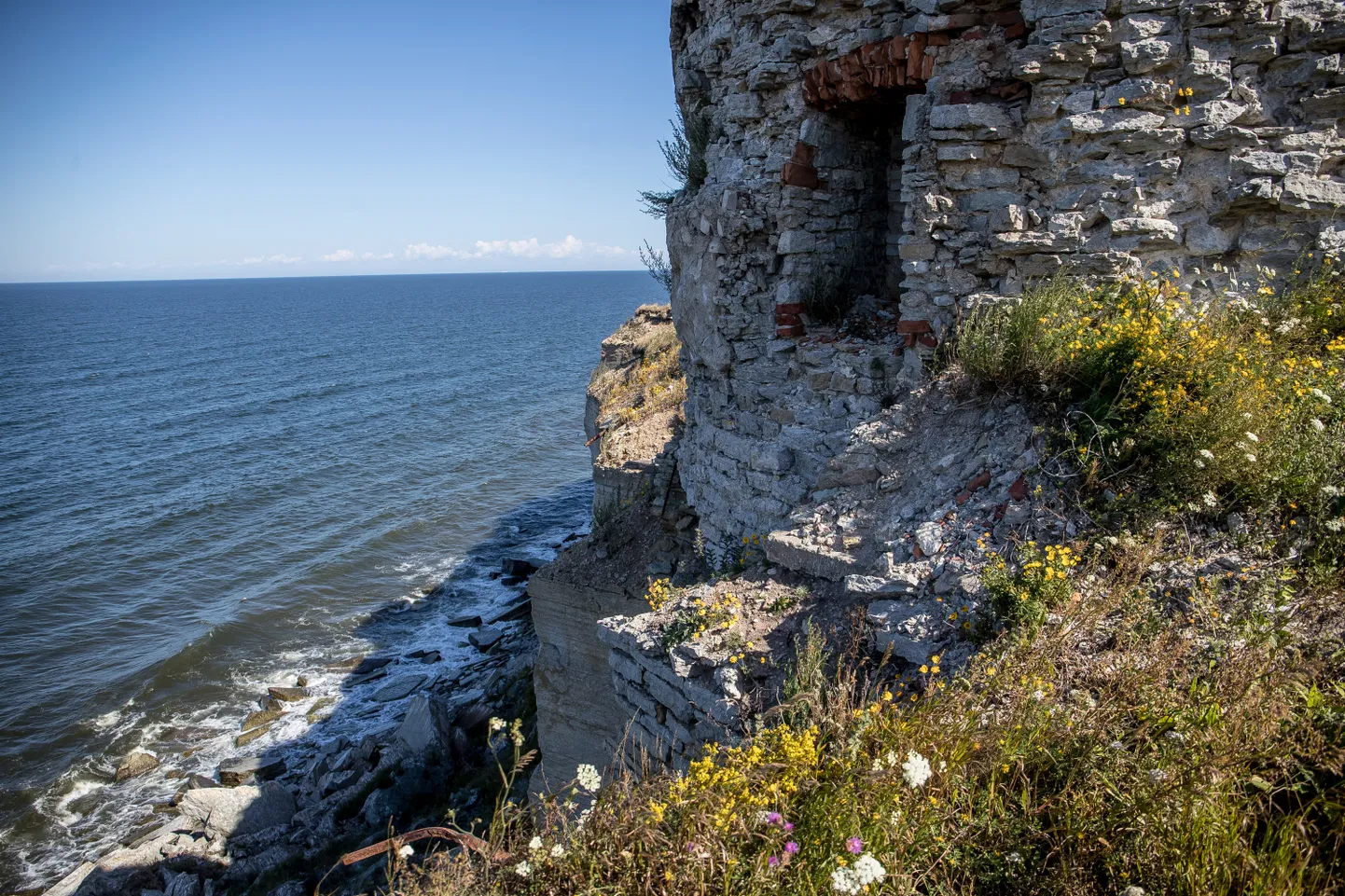 Foto on illustratiivne.