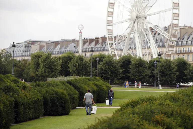 Pargi koristamine ja rottide püüdmine Pariisi Tuileries aias
