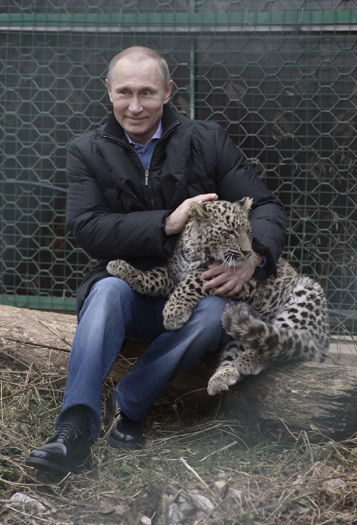 Фото статьи