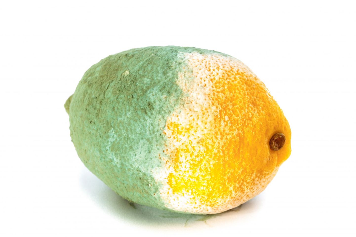 Nii hallitanud sidrunit kohtab lettidel harva.