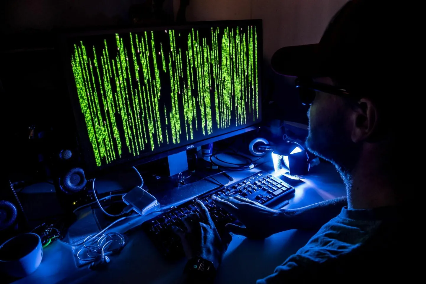 Netikelmide eest pole meist keegi kaitstud, sest nood sellid on oma töös vägagi osavad ja head manipulaatorid.