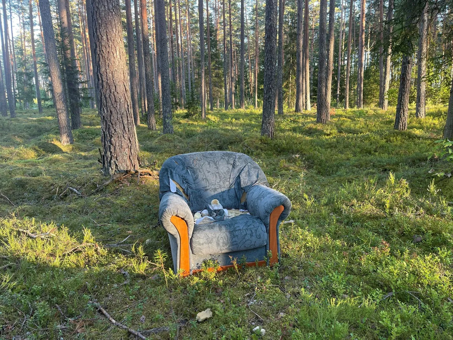 Kolmapäeva õhtul oli tugitool veel metsas, kuid püsti upitatud.