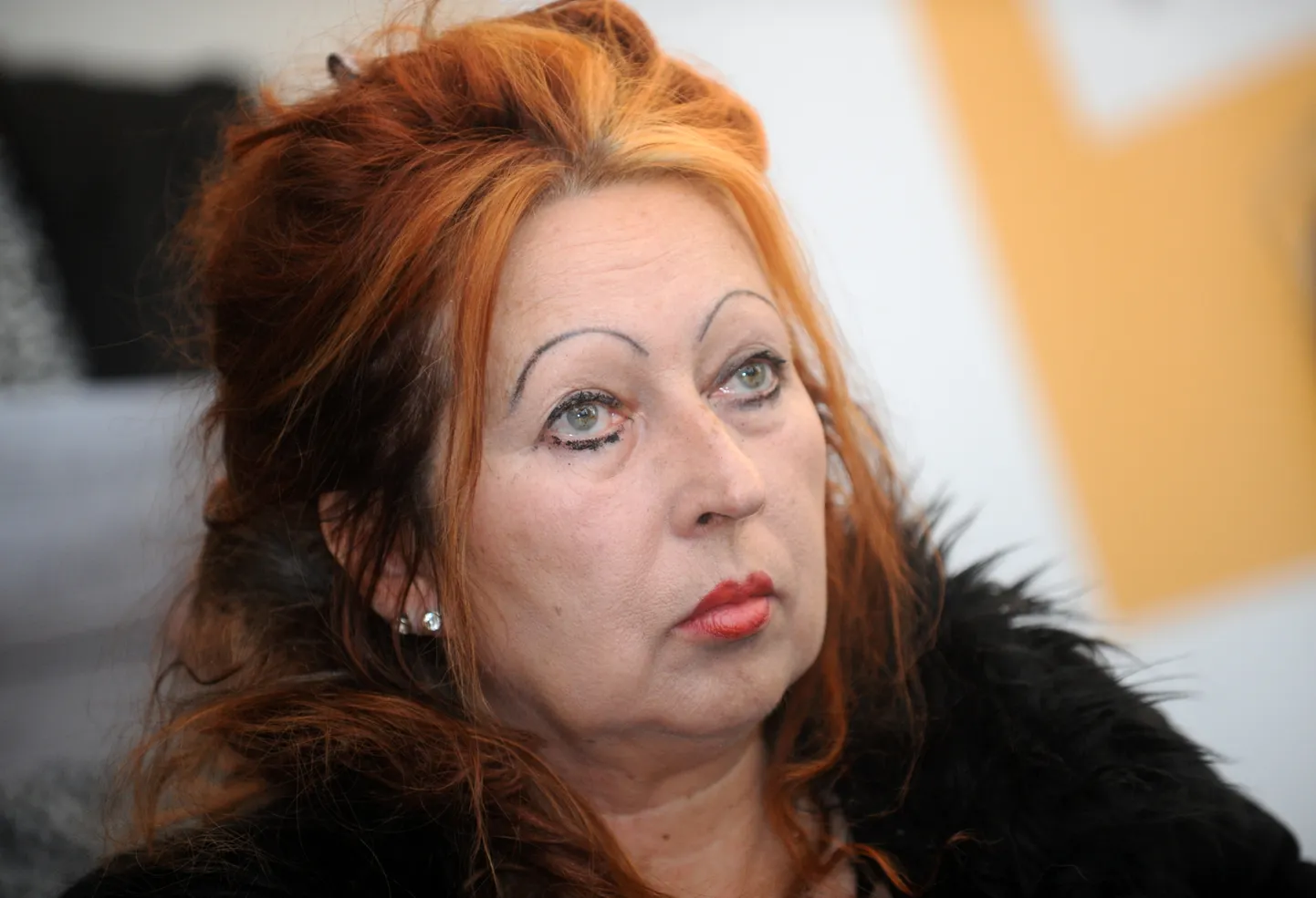 Raksta foto