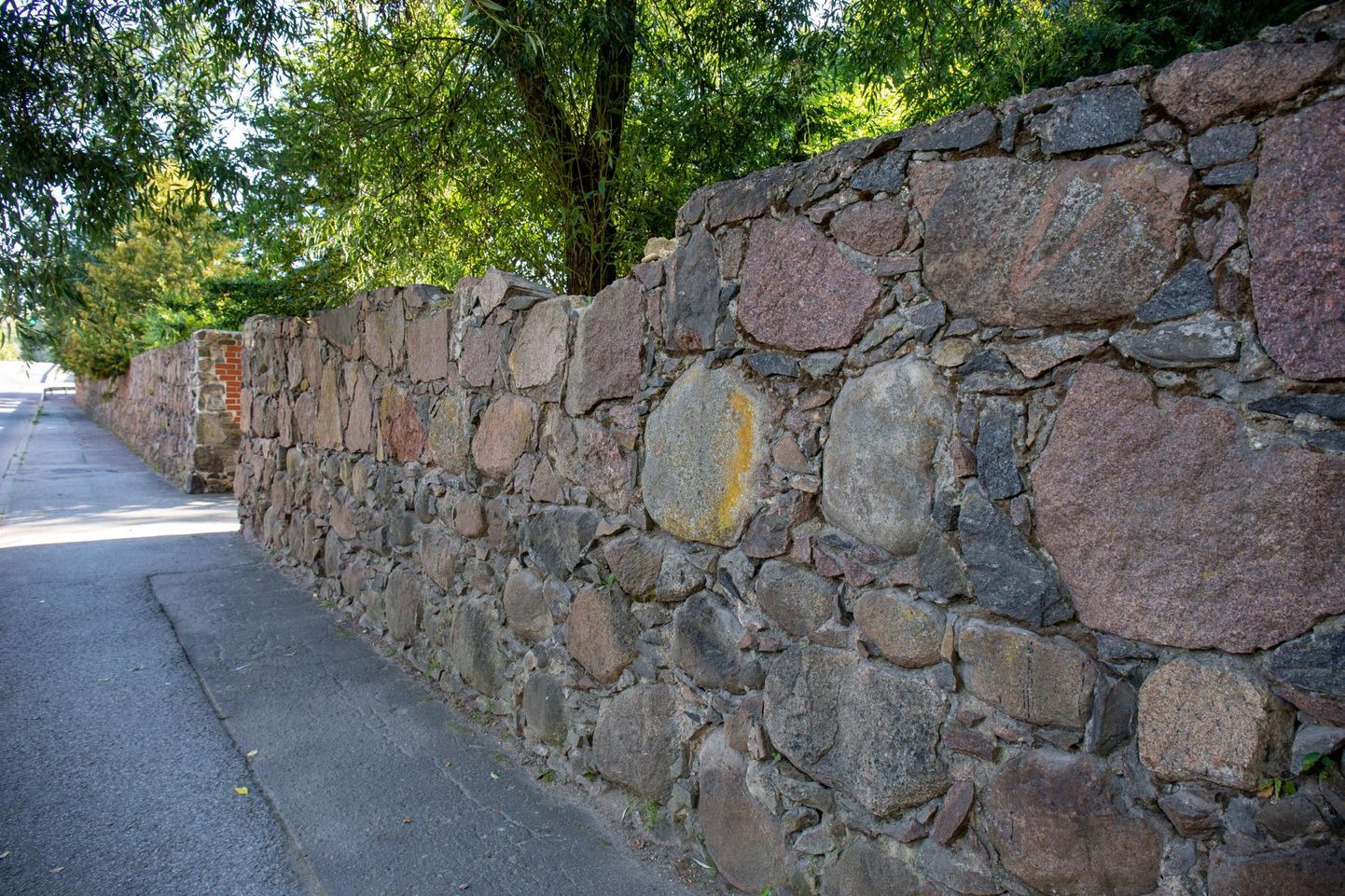 Tartu ülikooli botaanikaaia müürist on ülemise rea kivid välja kukkunud ka Kroonuaia tänava ääres.