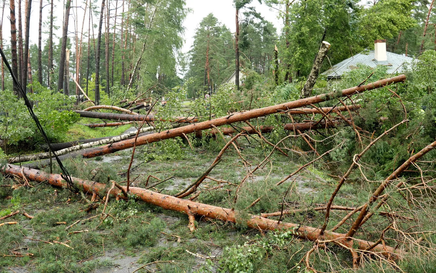 Raksta foto