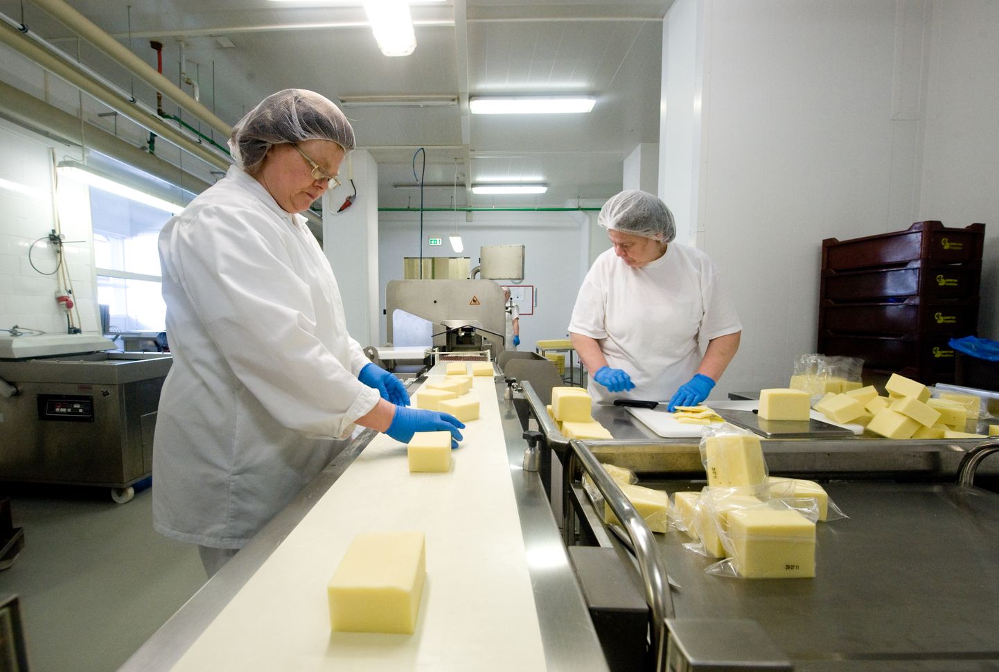 Juustu tootmine Saaremaa Piimatööstuses.