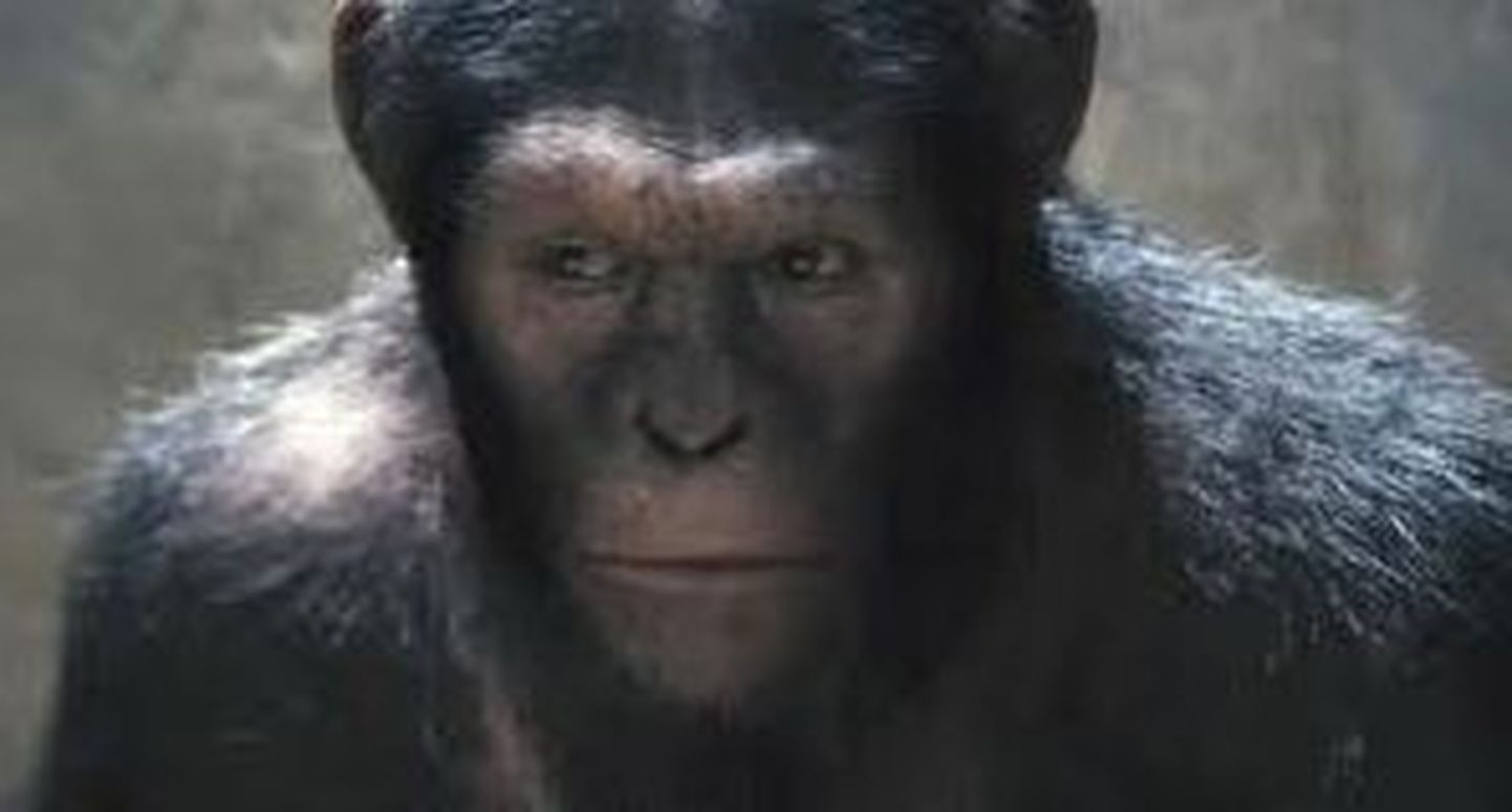 Kaader filmist «Rise of the Planet of the Apes»