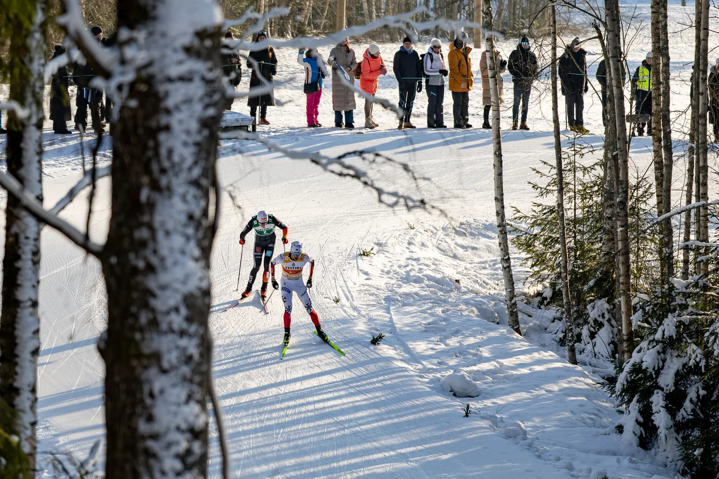 Otepää MK-etapp meeldib nii sportlastele, fännidele kui ka ametnikele.