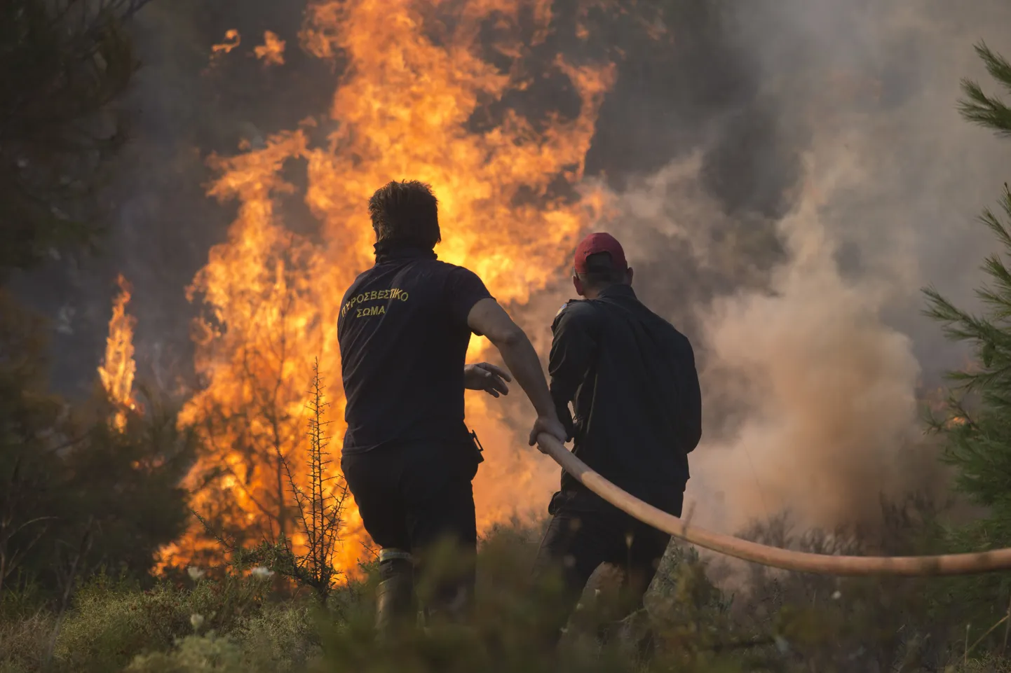 Tuletõrjujad Ateenast põhja poole jääva Kapandriti lähedal.