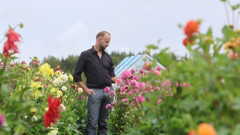 FOTOD ⟩ «Ei tahtnud kasvatada seda, mida kõik teised.» Ilmari hobist on saanud tuhandene daaliapõld