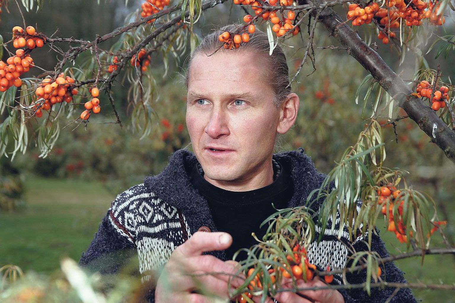 Proviisori haridusega talunik ja joogaõpetaja Erik Grünberg on kindel, et astelpajumahl pikendab eluiga.
