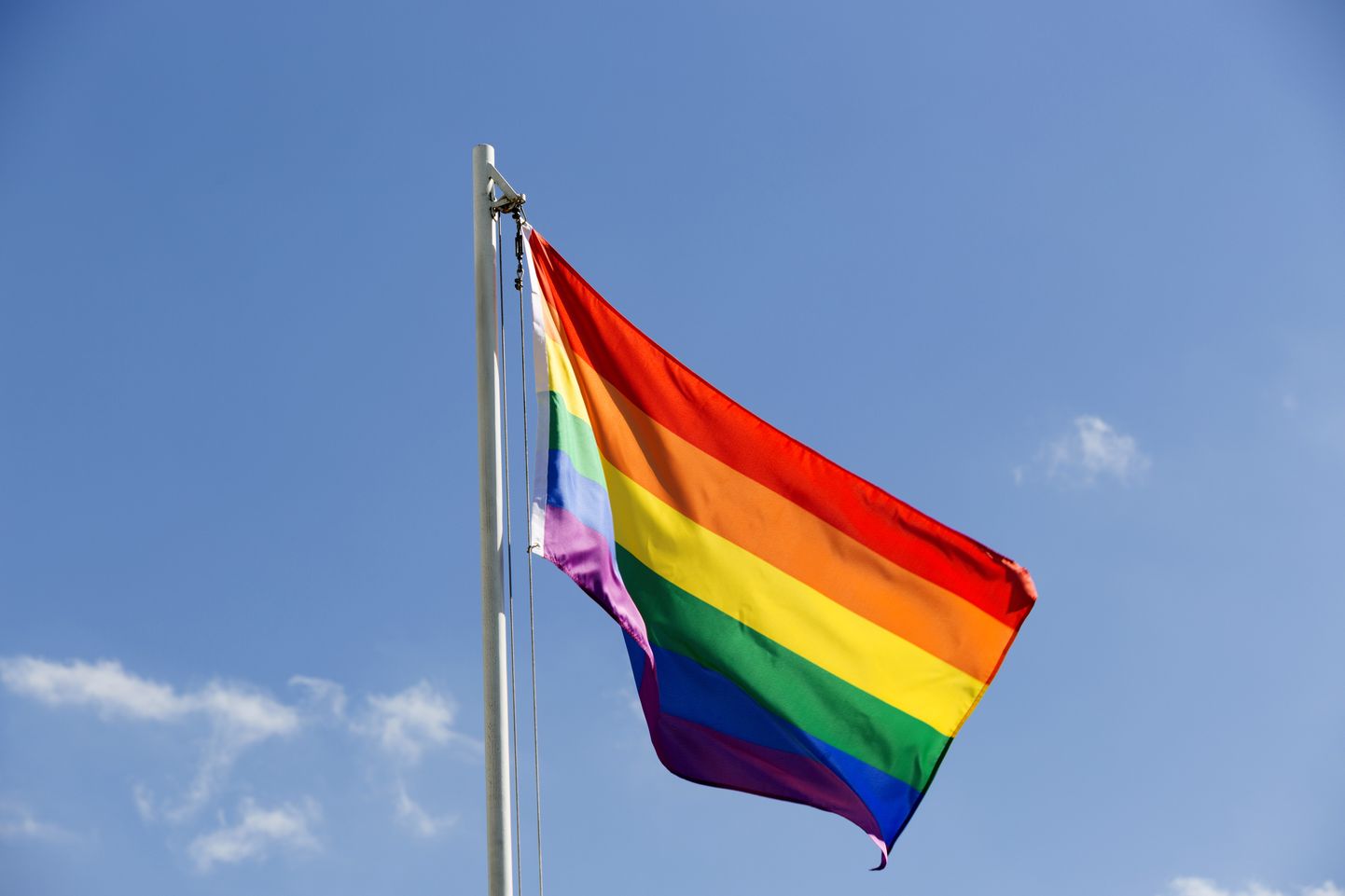 LGBT lipp. Tallinna populaarses geibaarist korraldatakse lastedisko