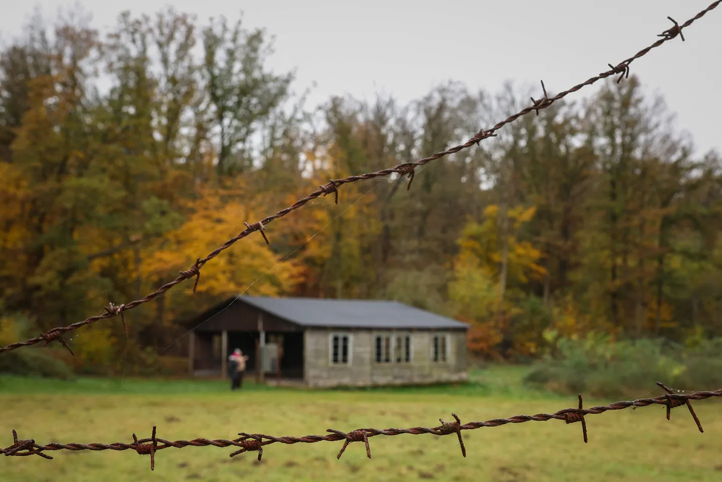 Endine vangide barakk Langenstein-Zwieberge koonduslaagri memoriaali paigas.
