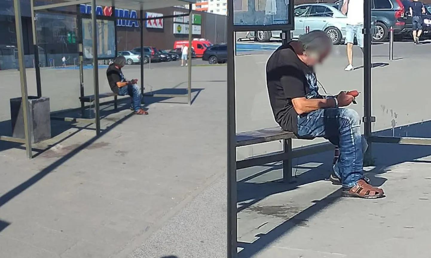 Фото статьи
