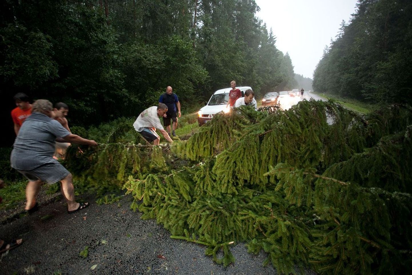 Päästjad pidid eemaldama teedelt puid. Foto on illustreeriv.