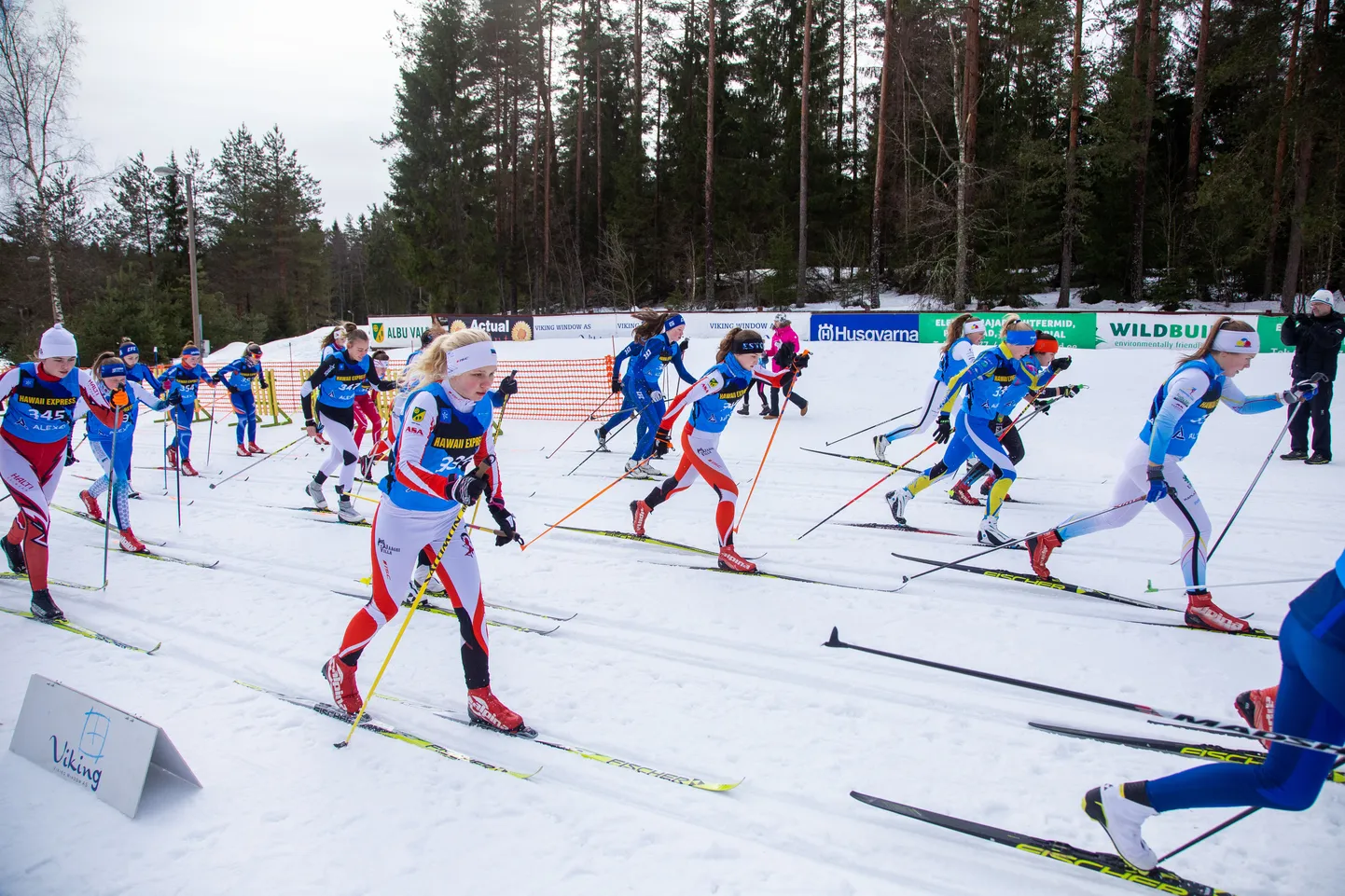 Alexela-Hawaii Express suusatamise noortesarja IV etapp Valgehobusemäe 
suusa- ja puhkekeskuses
