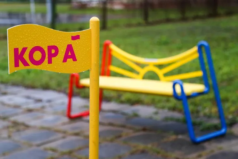 Raksta foto