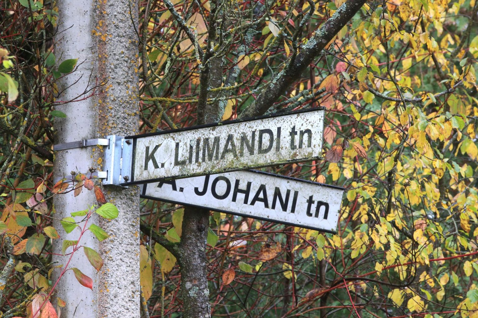 Arutelud Ihaste K. Liimandi ja A. Johani tänava ümbernimetamise üle algasid juba sügisel.