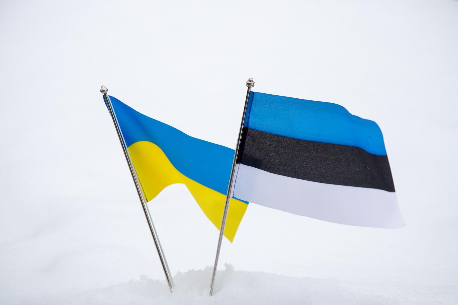 22.02.2022, Eesti ja Ukraina lipp. Ukraina toetuseks.
FOTO: Marko Saarm