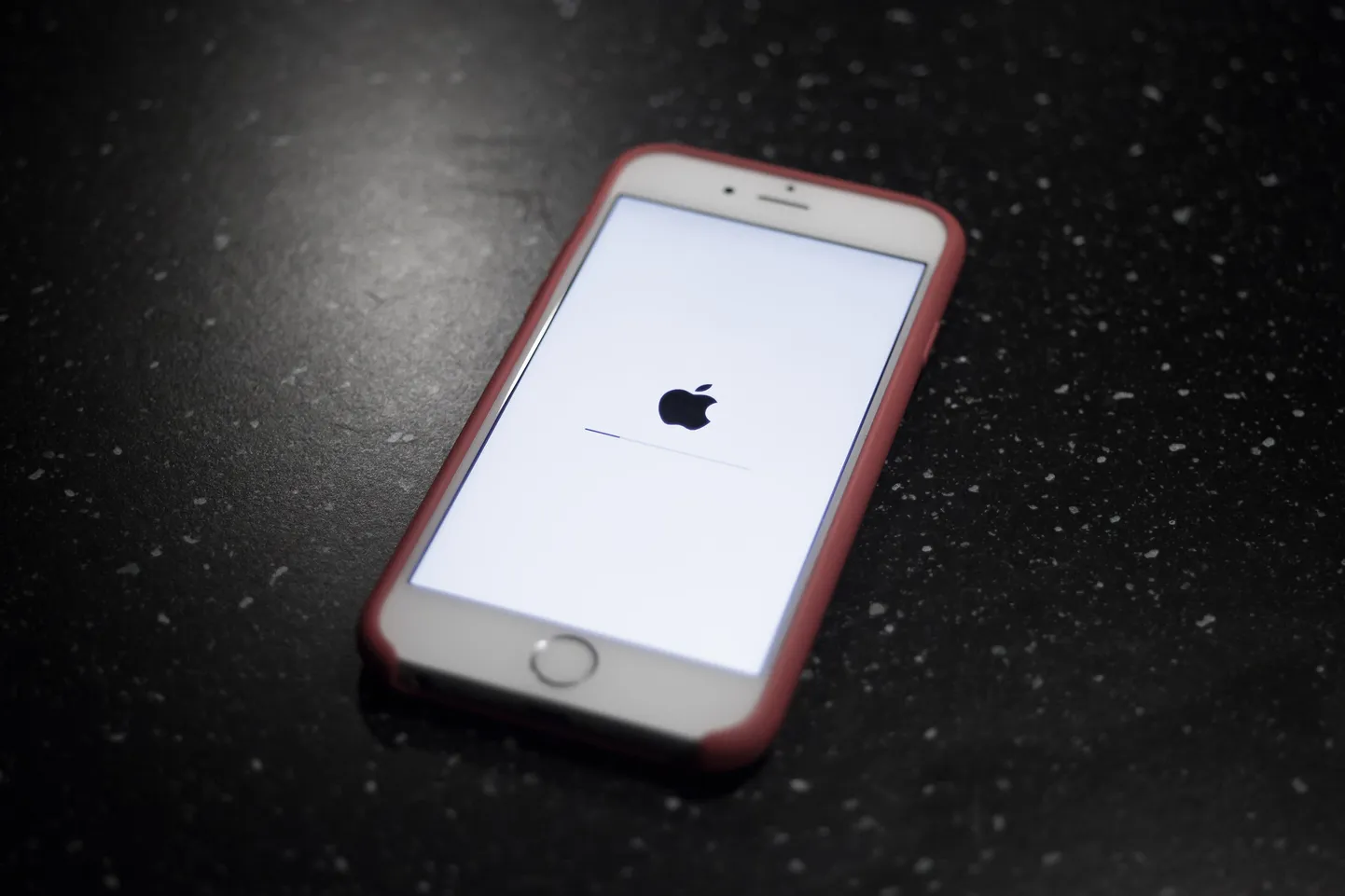 Varsti avaneb ettevõtetele võimalus inimestelt iPhone'iga makseid vastu võtta. Apple kinnitab, et maksja isik ja ostu olemus jäävad nende eest varjule.