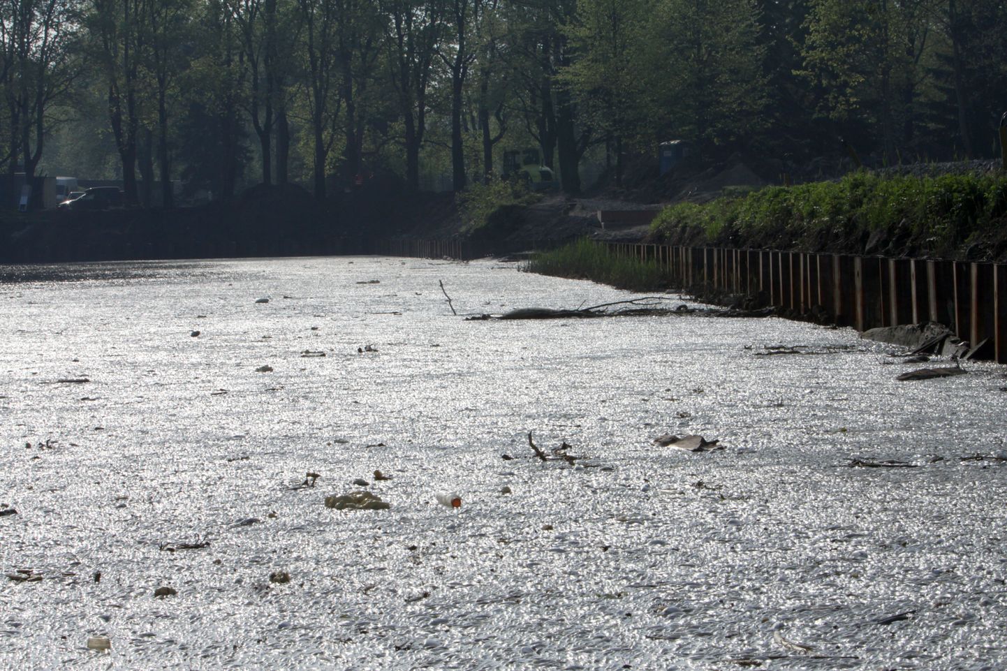 Pärnu Vallikäärus on hapnikupuudusesse surnud arvatavalt paar tonni kalu.