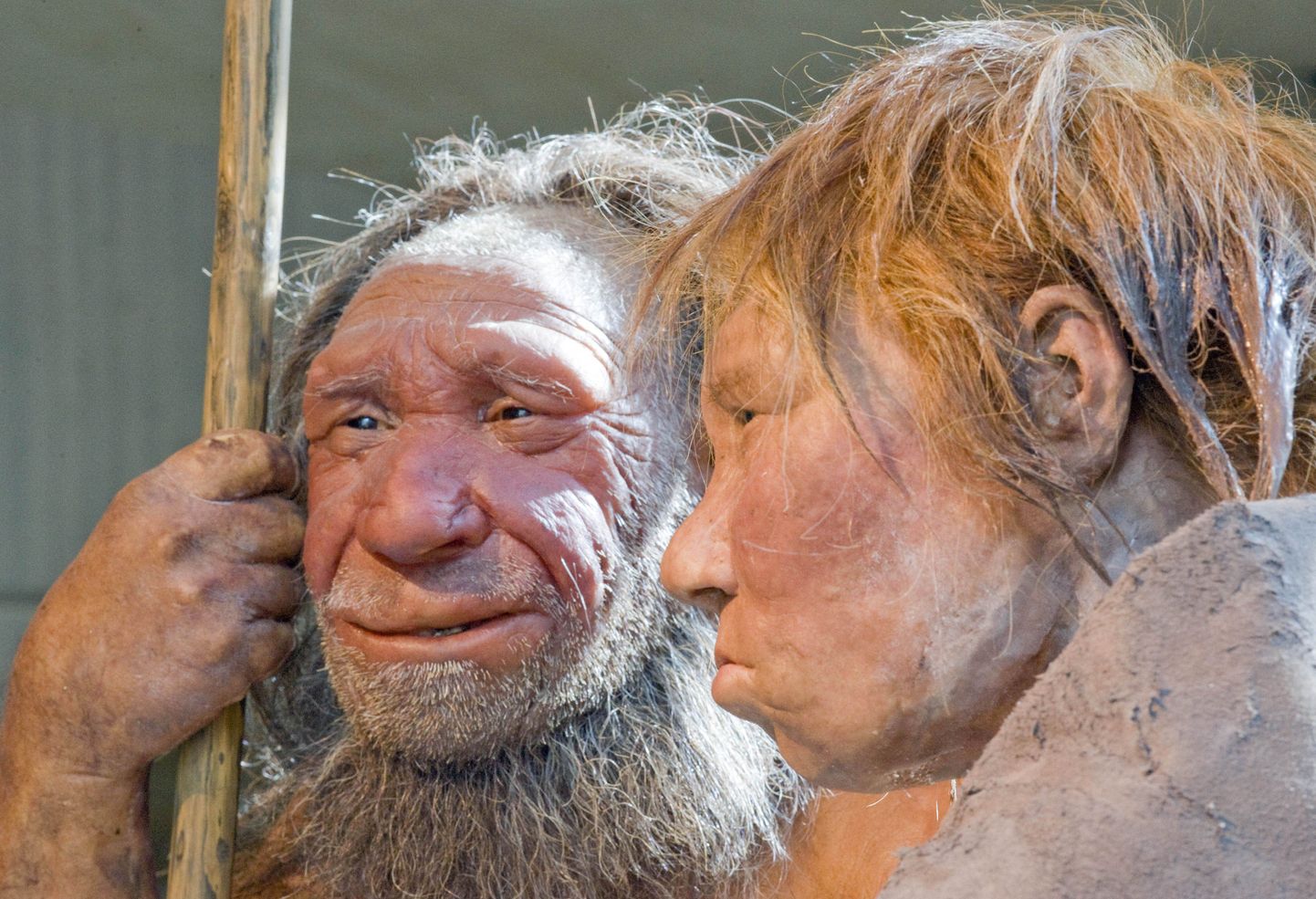 Neandertallaste kujud Saksamaal Mettmanni muuseumis